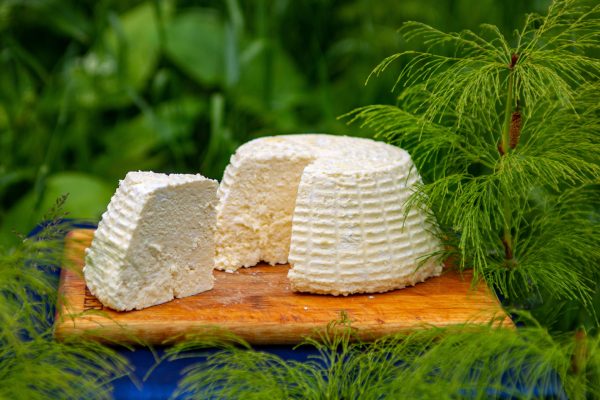 Ricotta